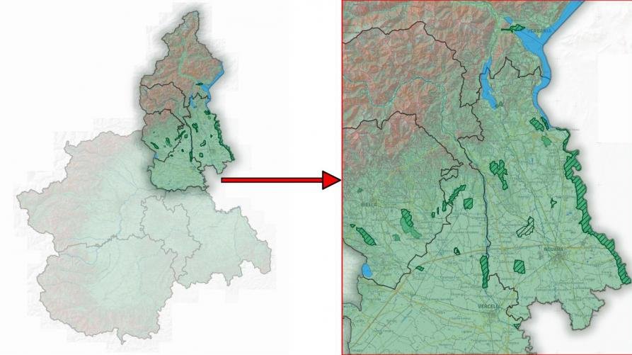 Le Aree Protette del Ticino e del Lago Maggiore: Biodiversità e Patrimonio Naturale